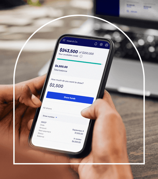 Illustrative business lending screen showing a sample credit line